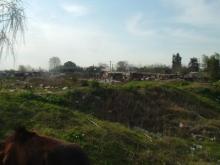 Segunda Caminata por el arroyo Saladillo